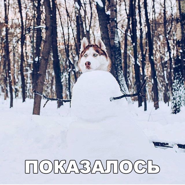 Подборка безудержного веселья