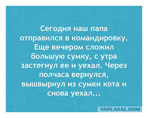 Картинки в черных рамках с подписями