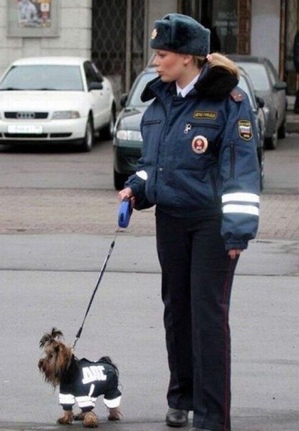 Подборка безудержного веселья