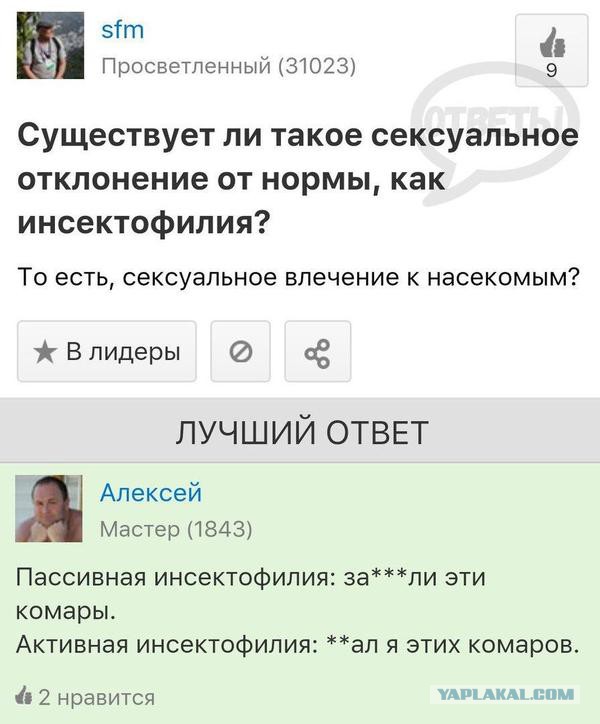 Очередная порция перлов из сети