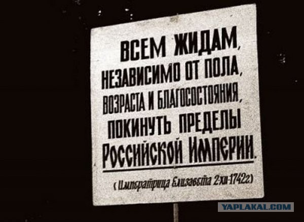 Шо Опять? Прямые трансляции майдана в Киеве