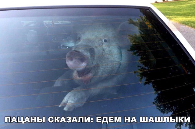 Ударная доза тупежа и деградации
