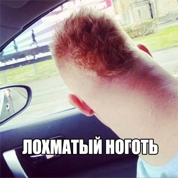 И еще немного картинок из этих наших интернетов