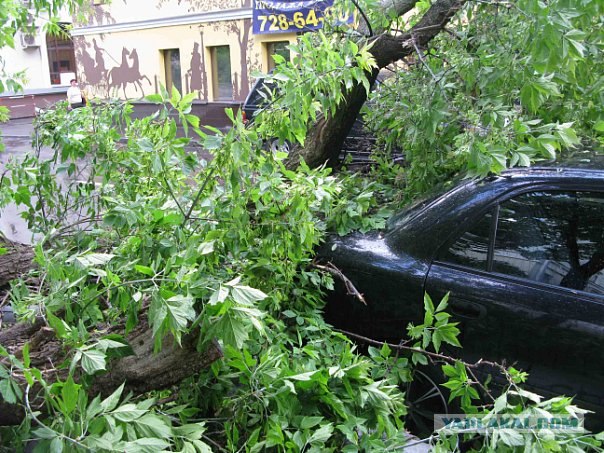 Водитель явно родился в рубашке