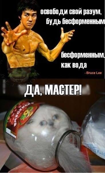 Немного картинок в эту пятницу