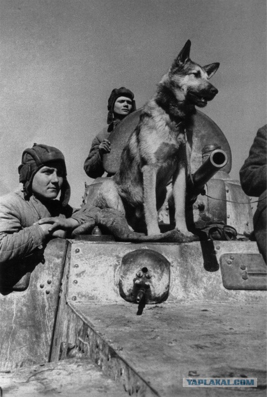 История в фотографиях - II