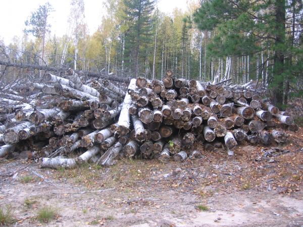 Весна, 5 дней таёжного одиночества