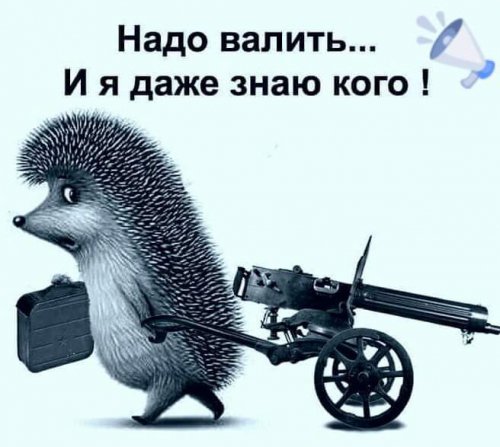 Здесь вам не рады