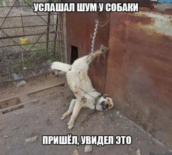 Картинки отовсюду. Часть 3 от 22 октября