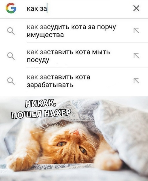 Чуток картинок 02.11.19
