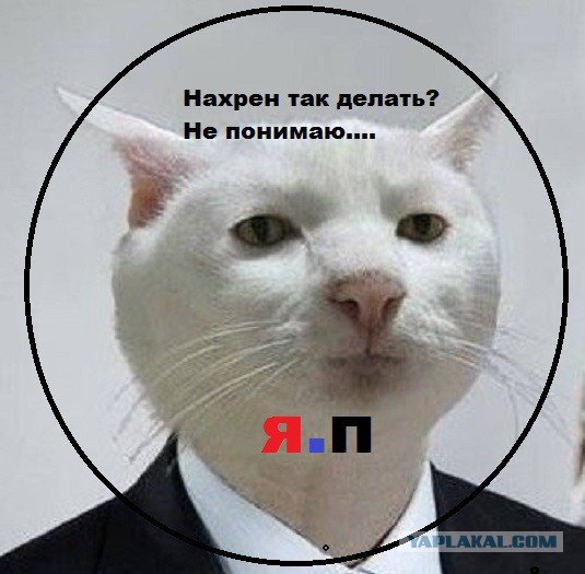 Картинки с юмором о Япе!