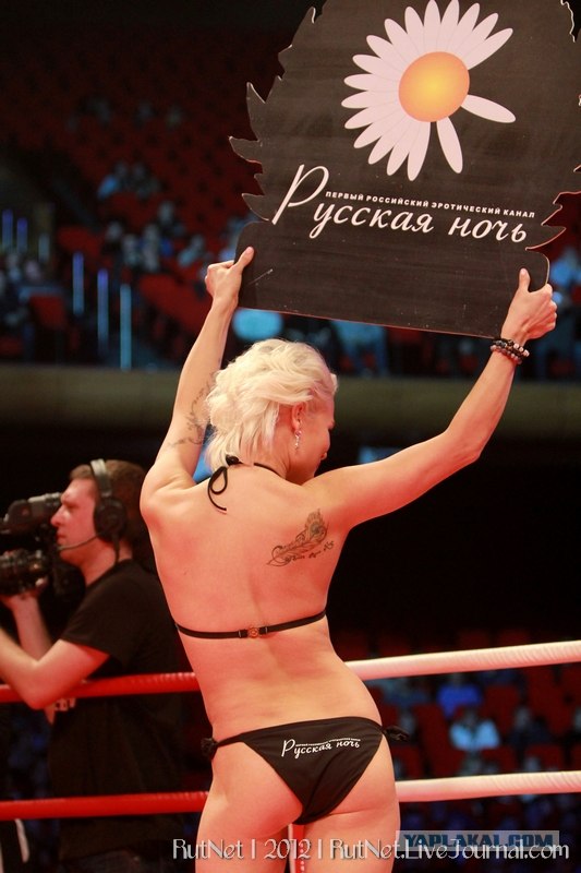 БОКС/MMA....