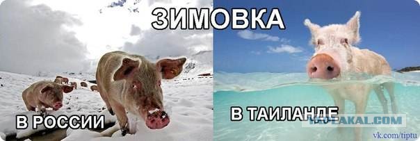 Один выходной день в тайской глуши: стирка, готовка и прочая бытовуха