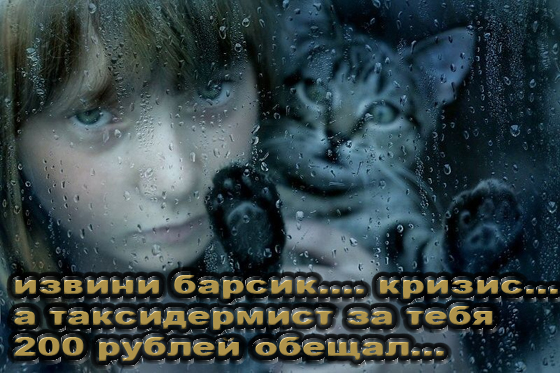 Простое человеческое счастье в картинках