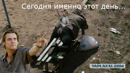 Проснётся, будет много думать...