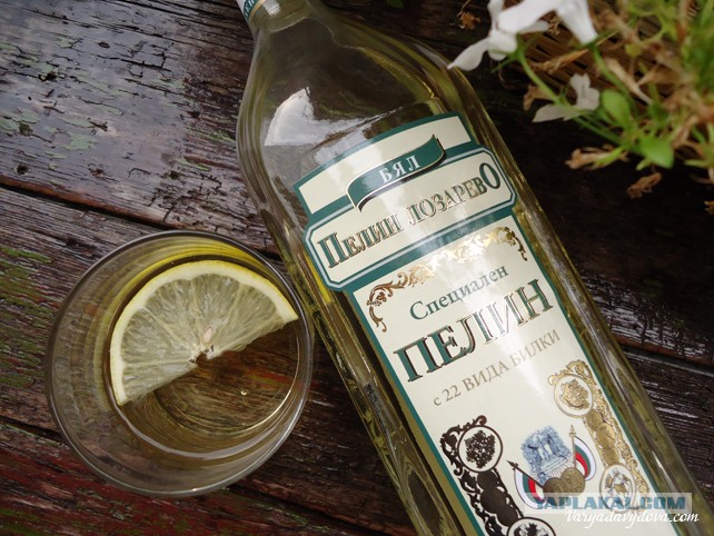 Абсент. Абсент с полынью. Туйон в полыни. Абсент ксента, 0. 5 л.