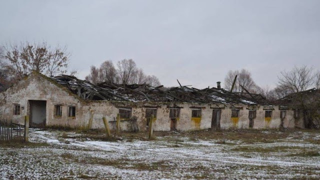 Почему в СССР на Ростсельмаше делали 85 000 комбайнов, а сейчас около 8 тыс.