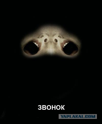 Фотожаба: В глаза мне смотри!
