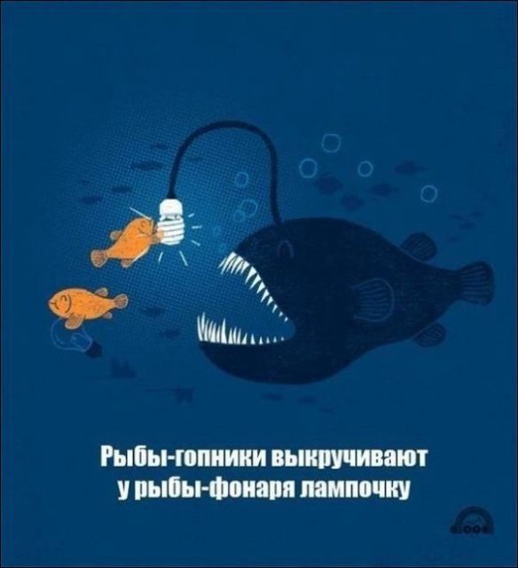 Картинки с надписями и всякие жизненные фразы
