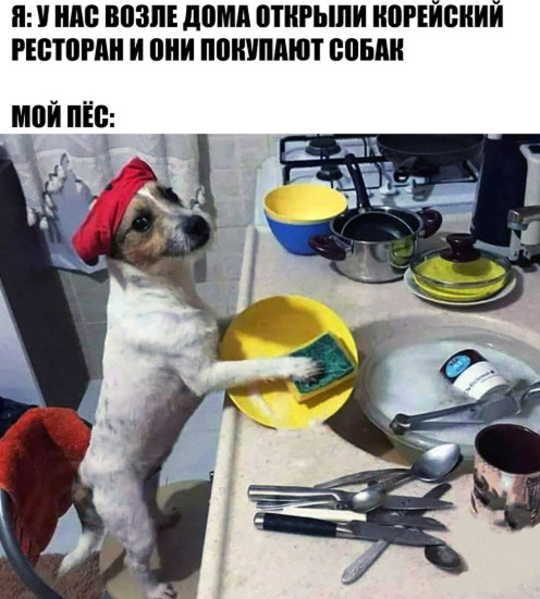 Картинки разнообразные. На злобу дня и на доброту (19.11)
