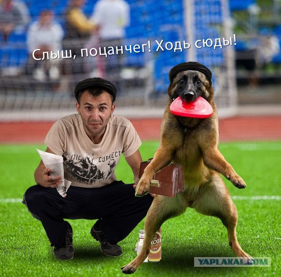 Фотожаба: А говорили, гады, что котлета