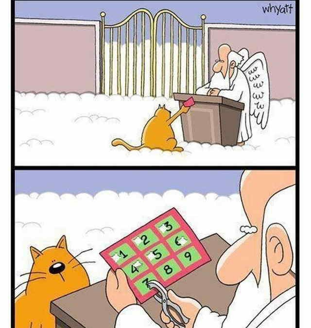 С котопятницей! Улыбнемся?