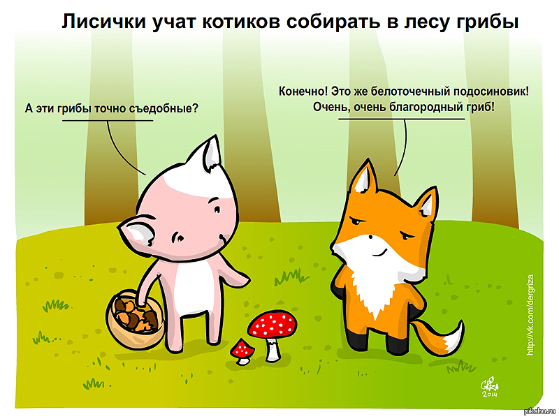 Картинка медведь собирает грибы в лису