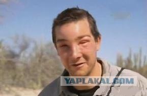 Посадка роя пчёл в улей или как пчёлы домой ходили