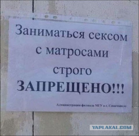Разомнем перед пятницей упоротость