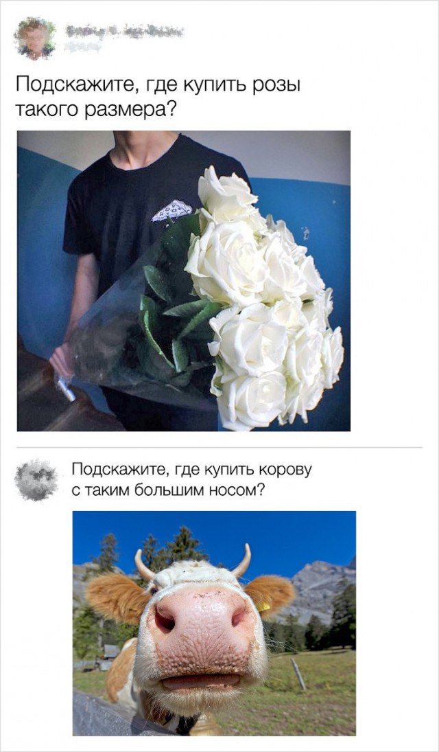 Картинки и мемы для настроения 02.08.2021