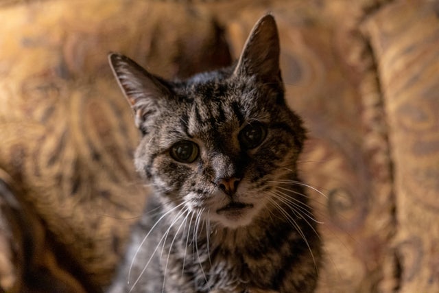 Котовторниковское