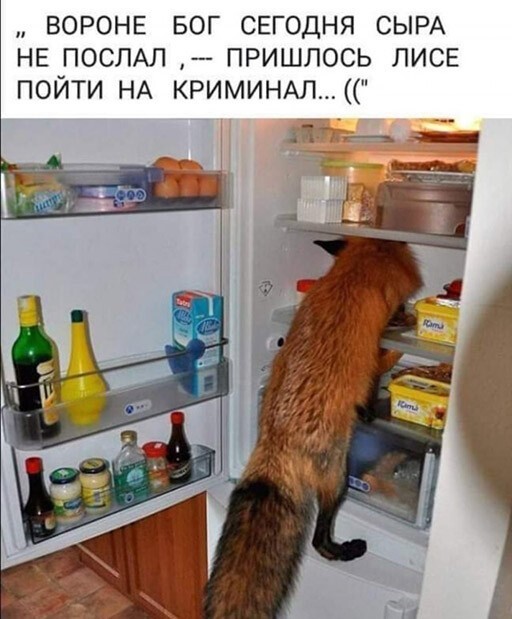 Баянисто-небаянистый юмор 21.04.22