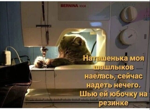 Вместо брака. Как оформить отношения парам, которые не хотят идти в загс: объясняет юрист