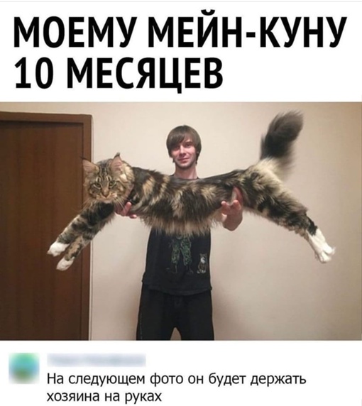 Картинки и мемы для настроения. Выходные скоро