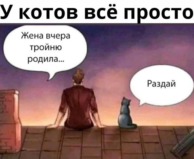 Картинки и мемы для настроения - 31