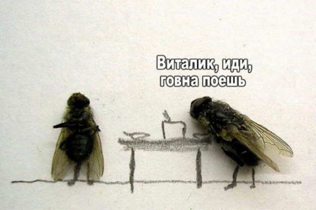 Осада Козельска