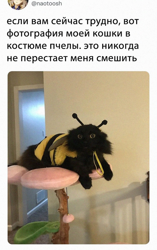 Немного картинок для настроения - 129