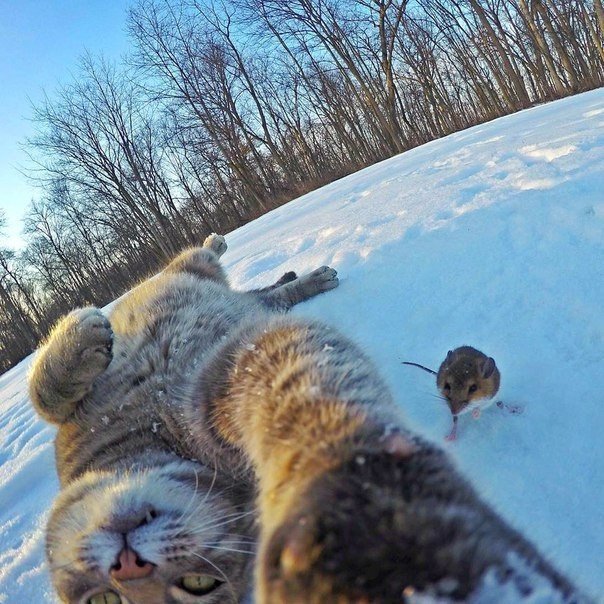Развод