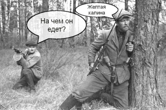 Кремль подтвердил поездку Путина в зону спецоперации