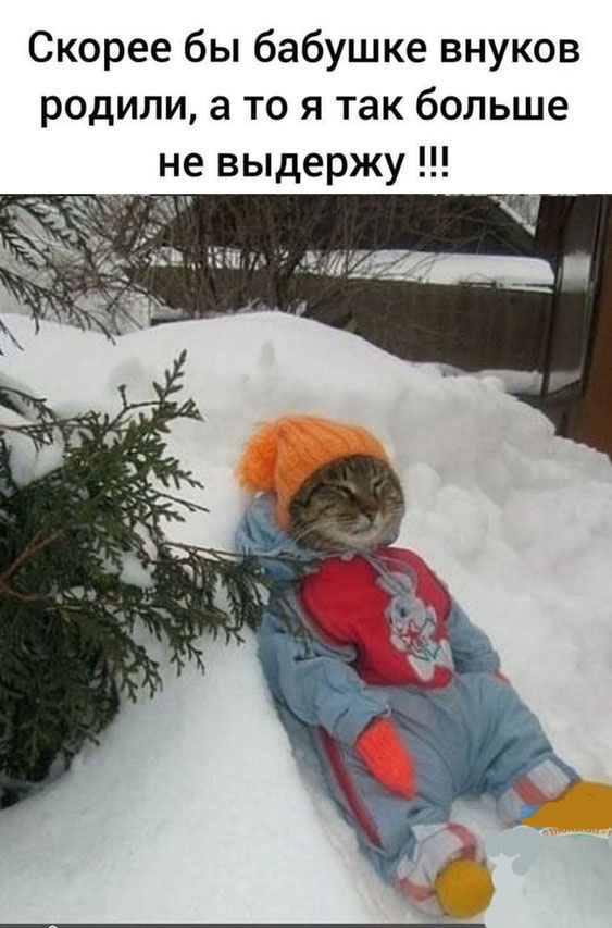Так себе картинки 25.12.22