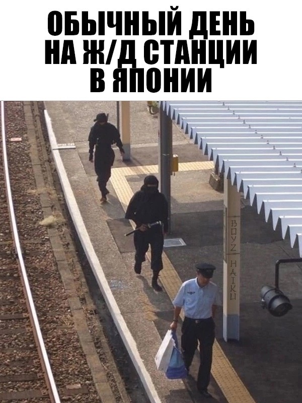 Так себе картинки 16.07.23