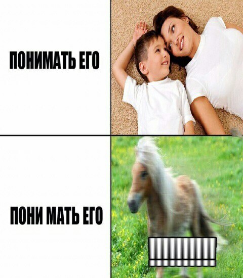 Картинки из Дристоля