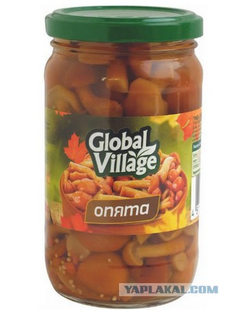 Холостяцкая еда