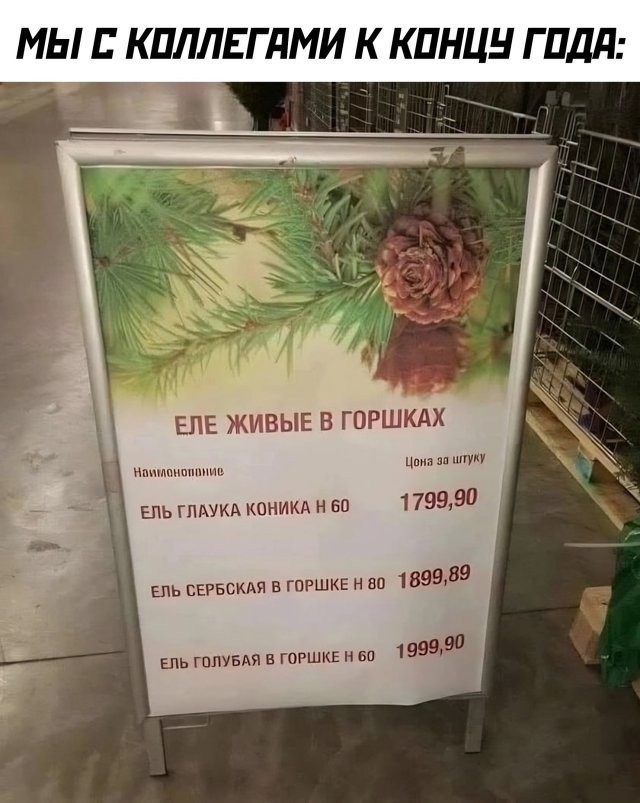 Весёлый полтишок 24.12.23