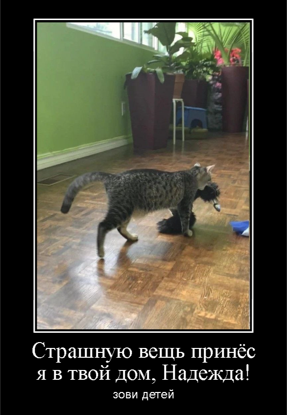 Юмор в картинках и без
