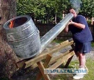 Дикие фото из социальных сетей