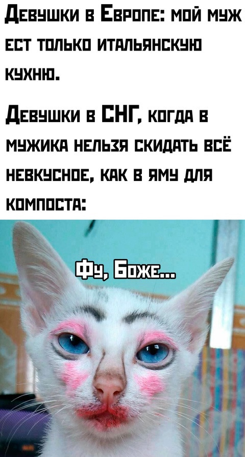 Весёлый полтишок 08.01.25