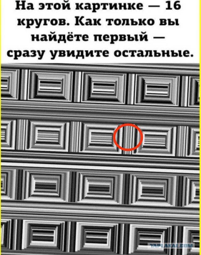 Сборник Баянов
