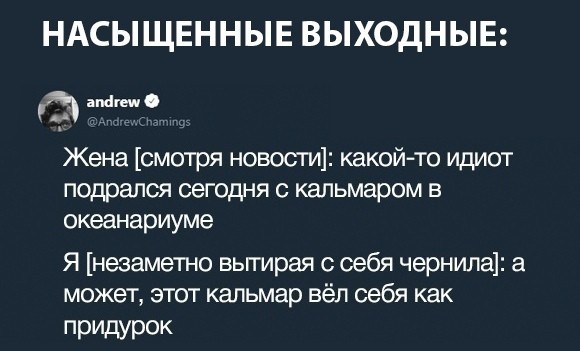 Ударим дичью по бездорожью и разгильдяйству