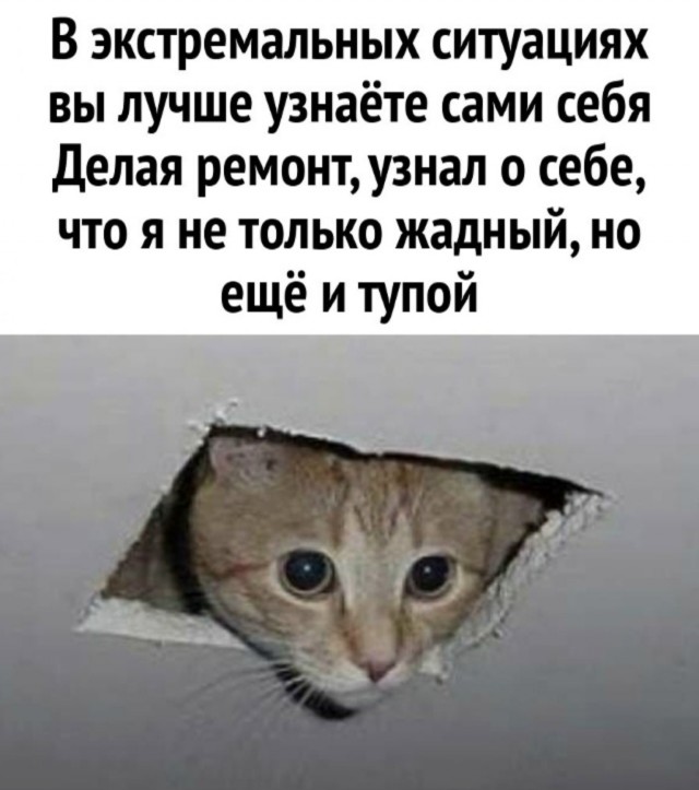 Шерстяные пидо.... братья наши меньшие